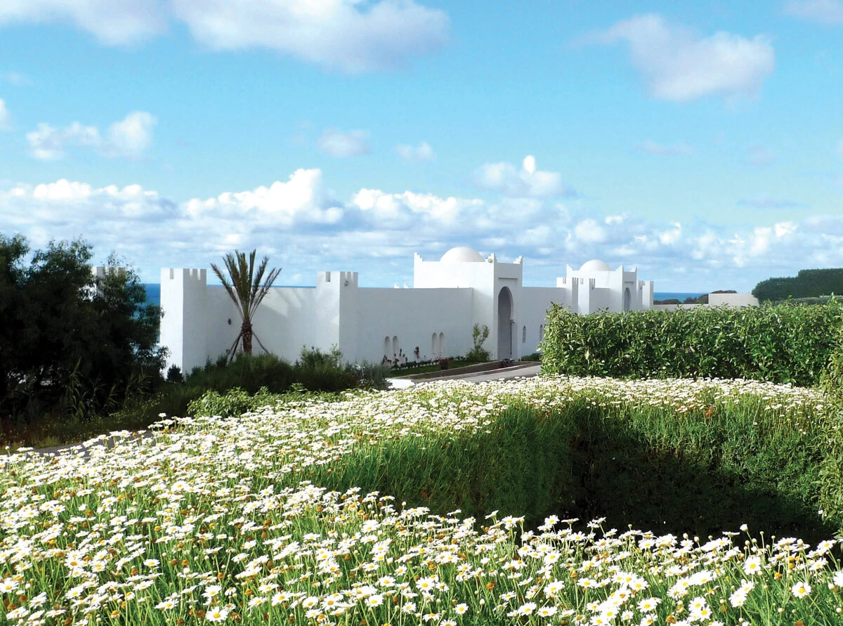 IFITRY Residency in Essaouira. All rights reserved